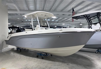 2025 Bayliner Trophy 24 CC Gray/White Boat